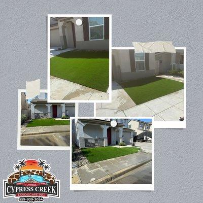 Cypress Creek Landscape