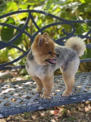 Louie's Professional Grooming