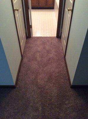 Ed's Carpet Shop