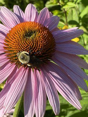 A & R Masonry & Landscape Design