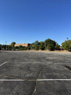 Tom Mansfield Nursery