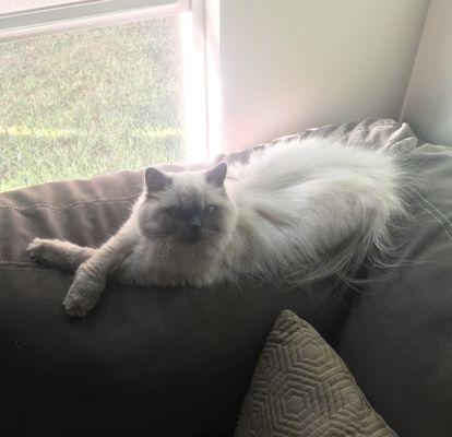 FM 685 Animal Hospital