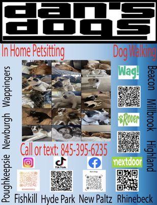 Dan’s Dogs