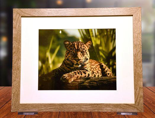 Framed Metal Print