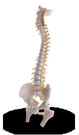 Health Point Chiropractic and Wellness