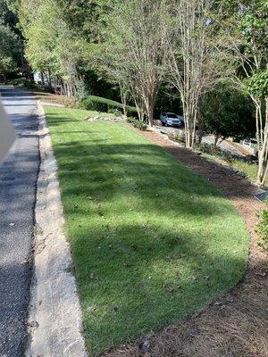 Mark Murphy, Professional Landscape Architect