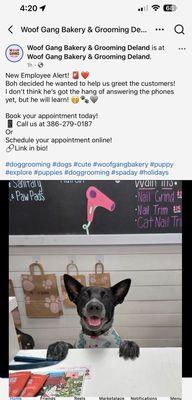 Woof Gang Bakery & Grooming Deland