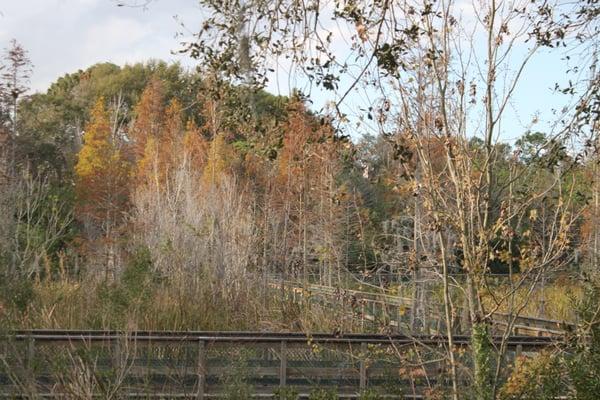 Cypress Breeze Farm