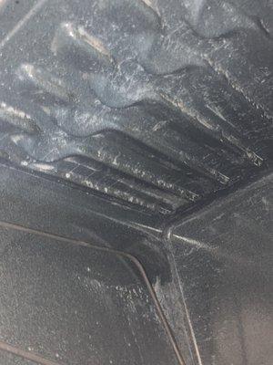 Southern Shoreline Cleaning