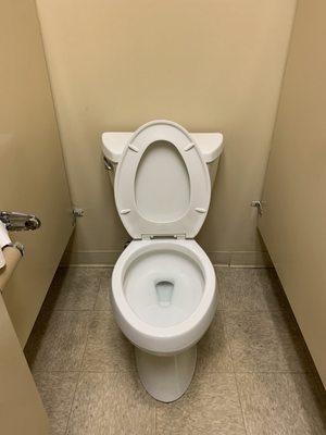 Premium Cleaning & Services