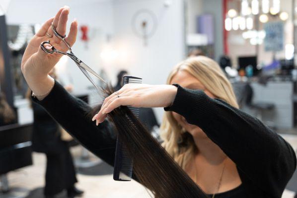 Today's Headlines Salon