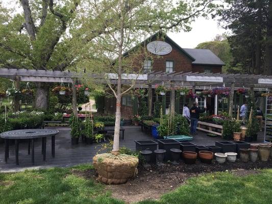 White Oak Farm And Gardens