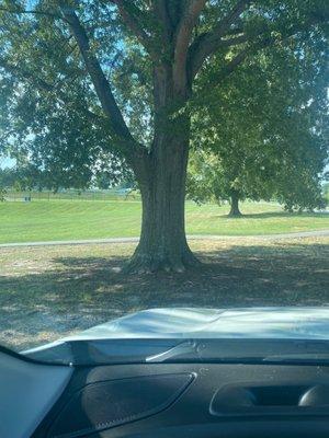 Biggerstaff Park in Dallas, NC