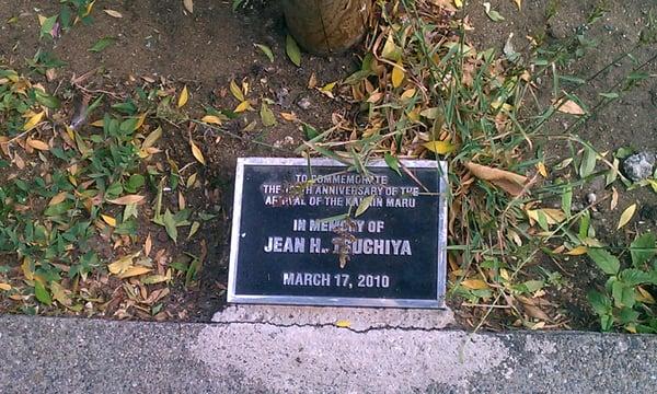 Kanrin Maru 150th Anniversary Trees