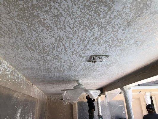 PPS Painting of Florida