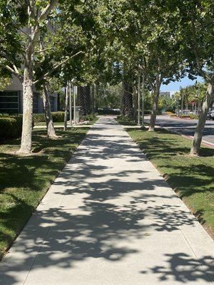 Concrete sidewalks for commercial spaces.