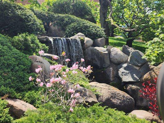 Normandale Japanese Garden