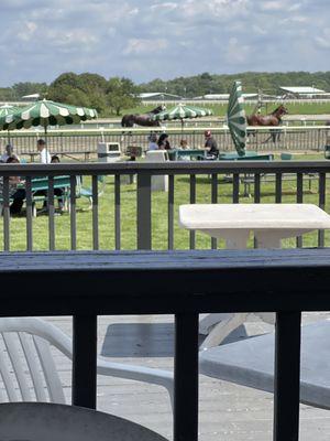 Horses being walked after race