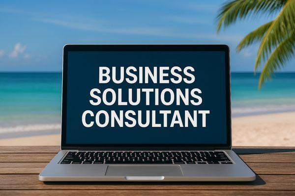 Business Solutions Consultant