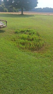 All Around Land Development & Property Maintenance