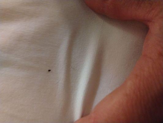 Pocono Resort Conference Center