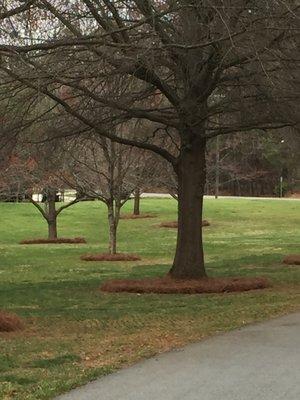 Pickler Property Management Landscaping