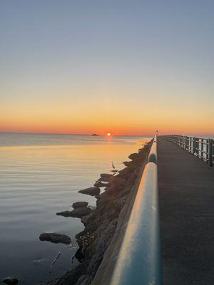 Mariel Paganini - Hagle Real Estate