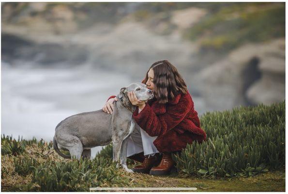 Transitions In Home Pet Euthanasia