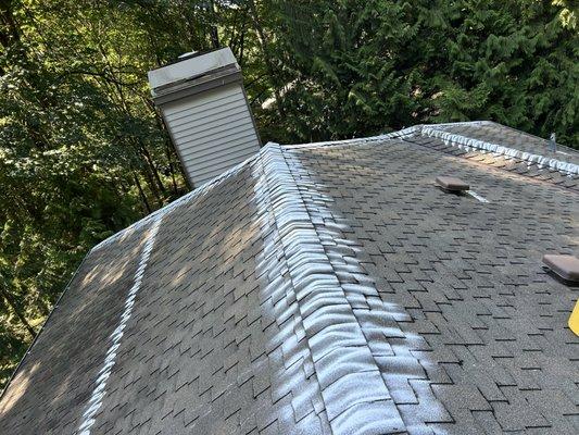 Moss treatment(zinc powder)