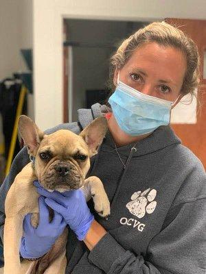 Bridge Veterinary Hospital