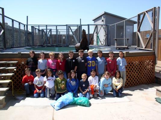 Sea Lion Stewards group