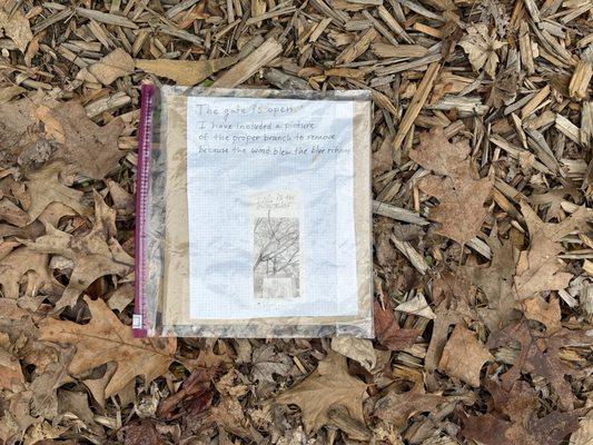 Picture of the branch to cut thrown on the ground