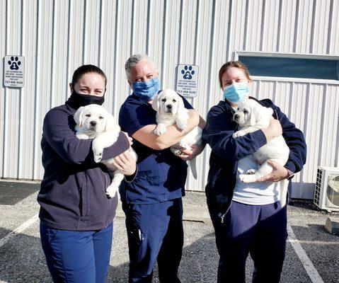 Compassion Animal Hospital