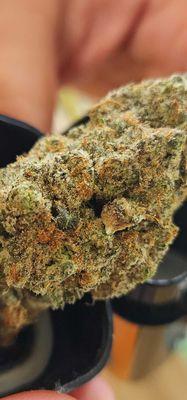 Apotheca Cannabis Dispensary