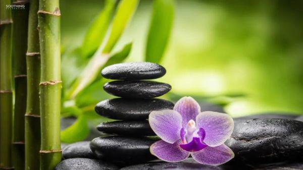 Tian's Chinese Massage Therapy