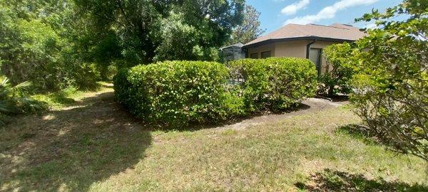 Landscaping By Vincent