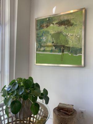 Decorative items and houseplants on display