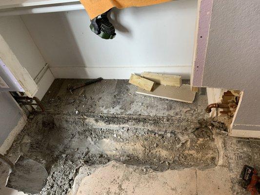 Leak detection found leak and reroute the main water line