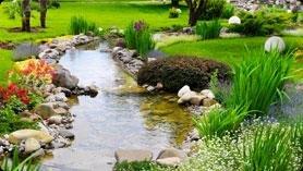 Aquadon Pond Services