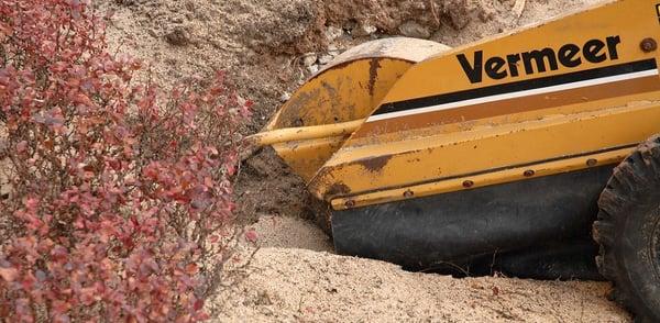 Danny DP Corp Tree Service