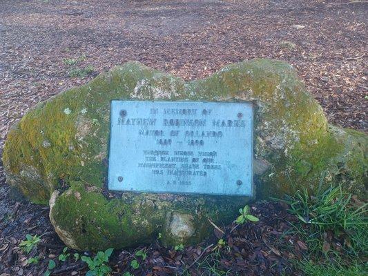 Mathew Robinson Mark's Memorial