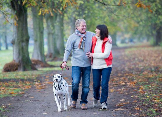 Aist Wealth Planning