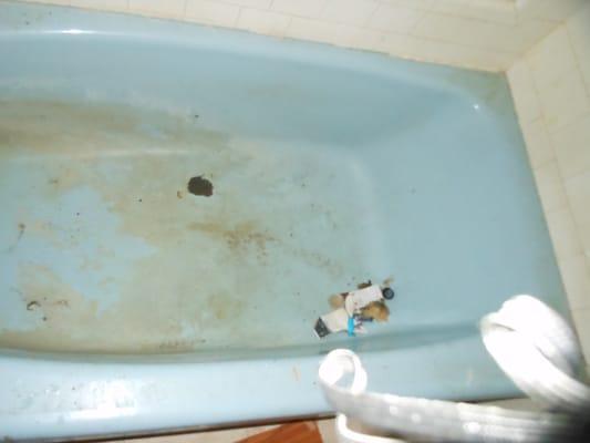 Dirtbuzters In & Out Cleaning