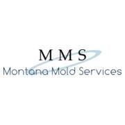 Montana Mold Services