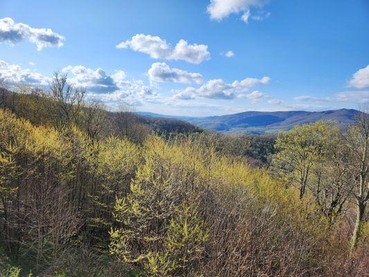 The Highlands At Sugar