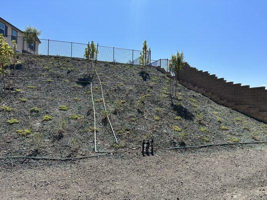 Greenlands Landscaping