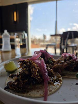 Carnita tacos