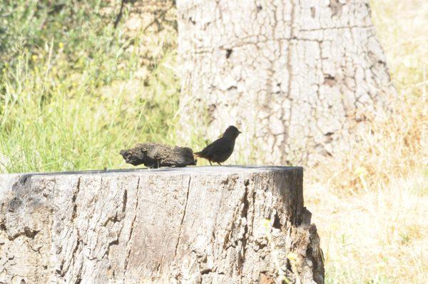 MA Tar Awa Viejas Camper Park