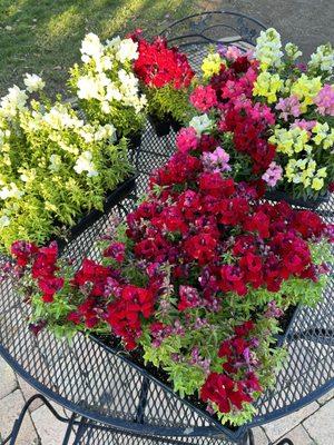 Reimer's Wholesale Nursery