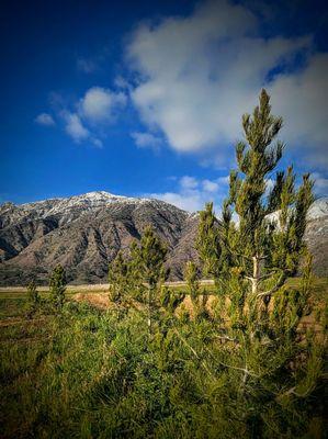 El Dorado Ranch Park,Yucaipa,California is beautiful throughout the year-especially after a clearing winter storm! A must see!